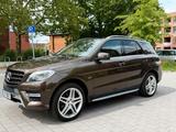 Mercedes-Benz ML350 CDI AMG Line/ AHK/H&K/... - Mercedes-Benz ML 350 in Hannover