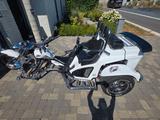 Boom Mustang Family - TRIKE