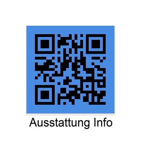 BMW 330 - Bild 16