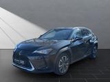 Lexus UX 250h Style SHZ Kamera Alu - Lexus aus 2021
