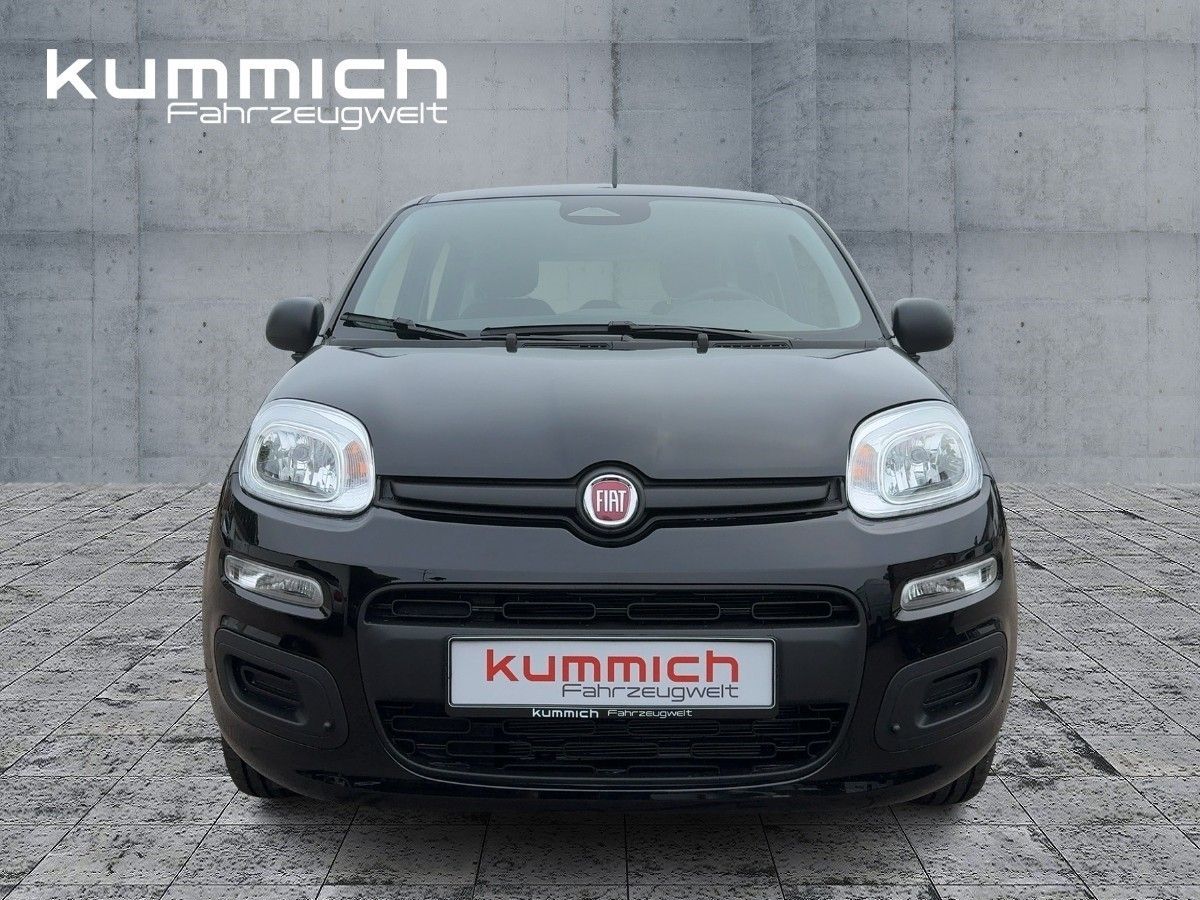 Fiat Panda MY25 Pandina ICON Hybrid 1.0 GSE 51kw 70PS imagem 2