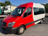 Mercedes-Benz Sprinter L2H2 314CDI Automatik Bus 9 Sitzer - Offers matching your search criteria