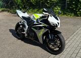 Honda CBR600RR/ PC40/ Inspektion NEU/ wenig Km * - HONDA 2008 CBR 600 RR