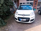 Fiat Panda 1.2 - Fiat Panda in Ludwigshafen