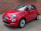 Fiat 500 Lounge Cabrio /  56. Tkm / - Fiat 500: Rot, C