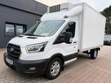 Ford Transit Tief-Kühlkoffer -20°C 2-Zonen Kühlung - Ford Transit: Automatik