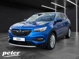 Opel Grandland X 1.2 Turbo Dynamic Klimaautomatik Sit - Opel Grandland (X) mit Benzin-Antrieb