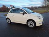 Fiat 500 1.2 (69PS) KLIMA / ALU /GLASDACH - Fiat 500: Glasdach