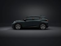 Cupra Raval - Vorschau Bild 2