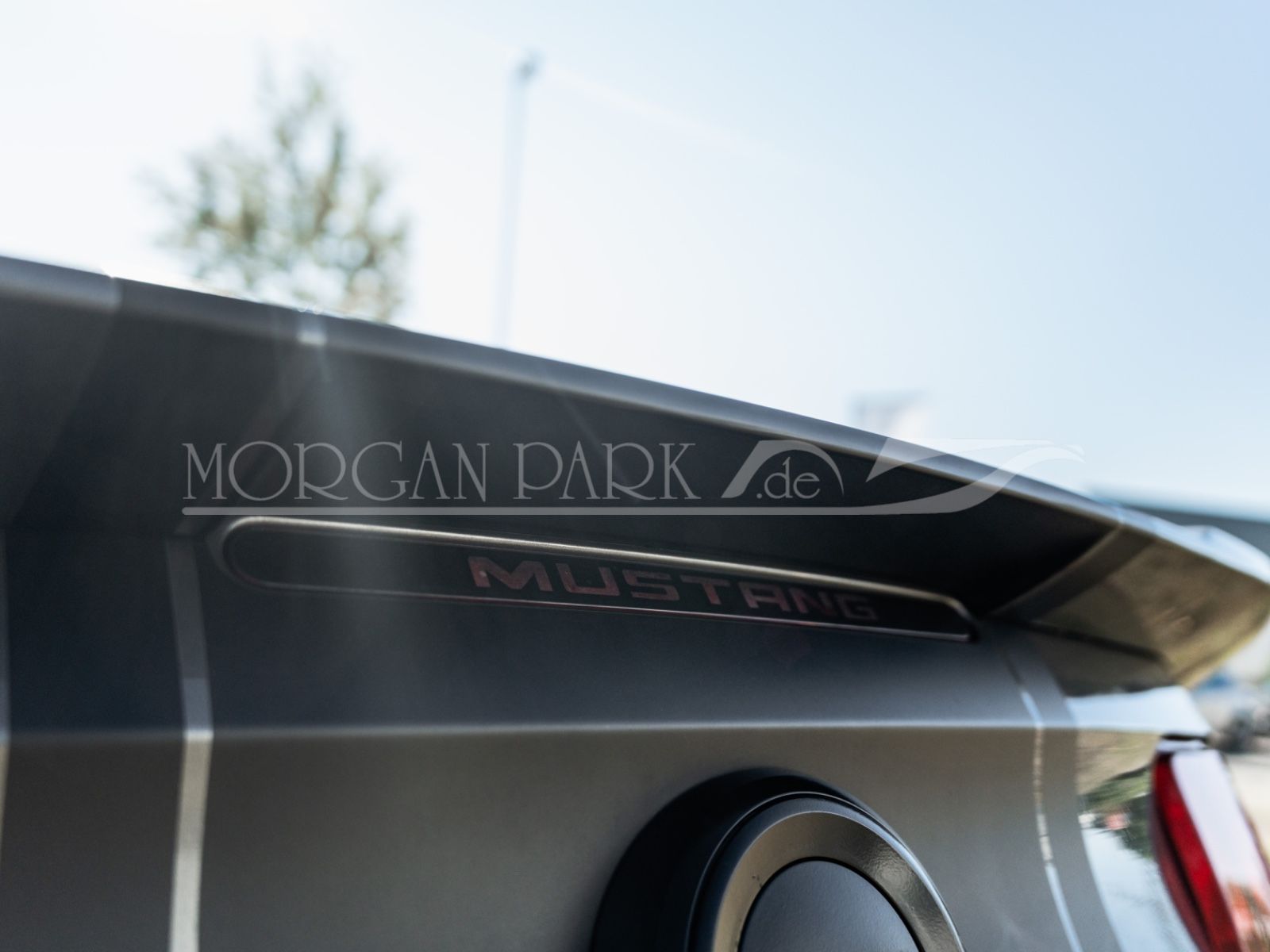 Fahrzeugabbildung Ford Mustang GT *Neidfaktor+480PS*