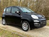 Fiat Panda 1.2l Pop 11/2026! 116T-Km! 2.Hand! 5Trg. - Fiat Panda Gebrauchtwagen in Bremen
