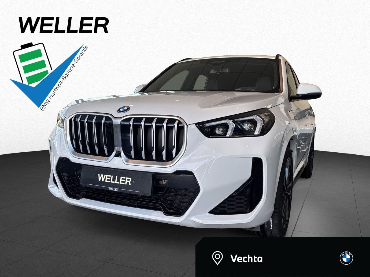BMW X1 xDrive30e M Sport ACC AHK 360° H/K