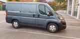 Fiat Ducato L1H1 Automatik Sortimo Regale