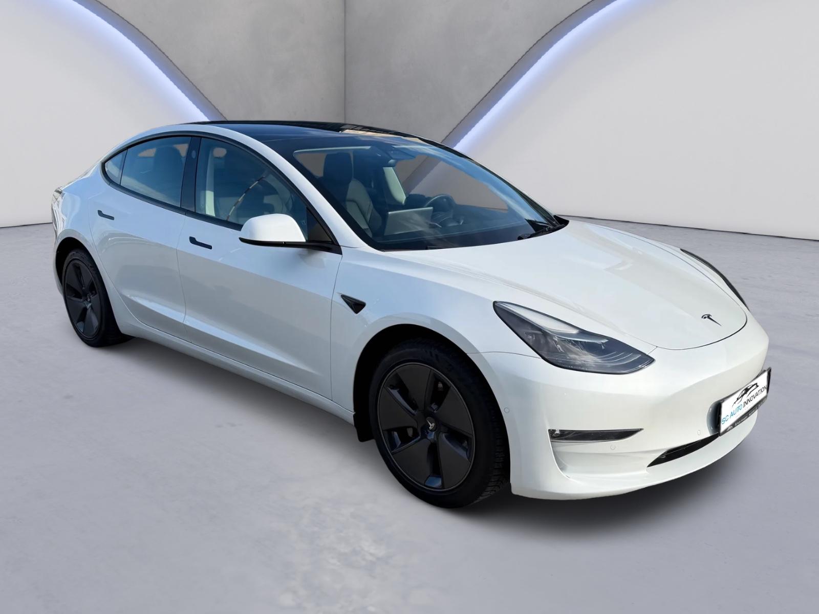 Tesla Model 3 Long Range Dual AWD+Kamera+DAB+Beschleun