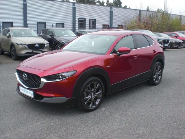 Mazda CX-30 Selection AWD*LED*AHK*NAVI*Radar*Bose*18 