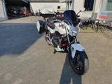 Honda NC700S ABS 2. Hand Top-Ausgestattet + Reifen NEU - HONDA NAKED BIKE