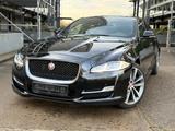 Jaguar XJ R-Sport 300 LED PANO MERIDIAN 20" KAMERA VOLL - Jaguar XJ aus 2018
