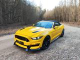 Ford Mustang 5.0 GT LPG KAM NAVI Shelby GT350 Optik - Ford Mustang: Gt350