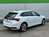 Skoda 116PS DSG First Edition ACC KAMERA eHK LM17" - Skoda Jahreswagen: Automatik