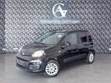 Fiat Panda Lounge/AUTOMATIK/36TKM/KLIMA/GARANTIE - Fiat Panda mit Benzin-Antrieb: Kleinwagen, Automatik