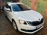 Skoda Oktavia - Skoda: Oktavia