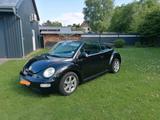 Volkswagen VW Beetle Cabrio - VW Beetle Gebrauchtwagen in Bremen
