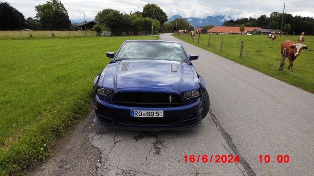 Ford Mustang  GT-CS  California Spezial