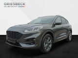 Ford Kuga ST-Line AWD*ACC*AHK*SHZ*WiPa*RFK*LM* - Ford Kuga AWD Gebrauchtwagen