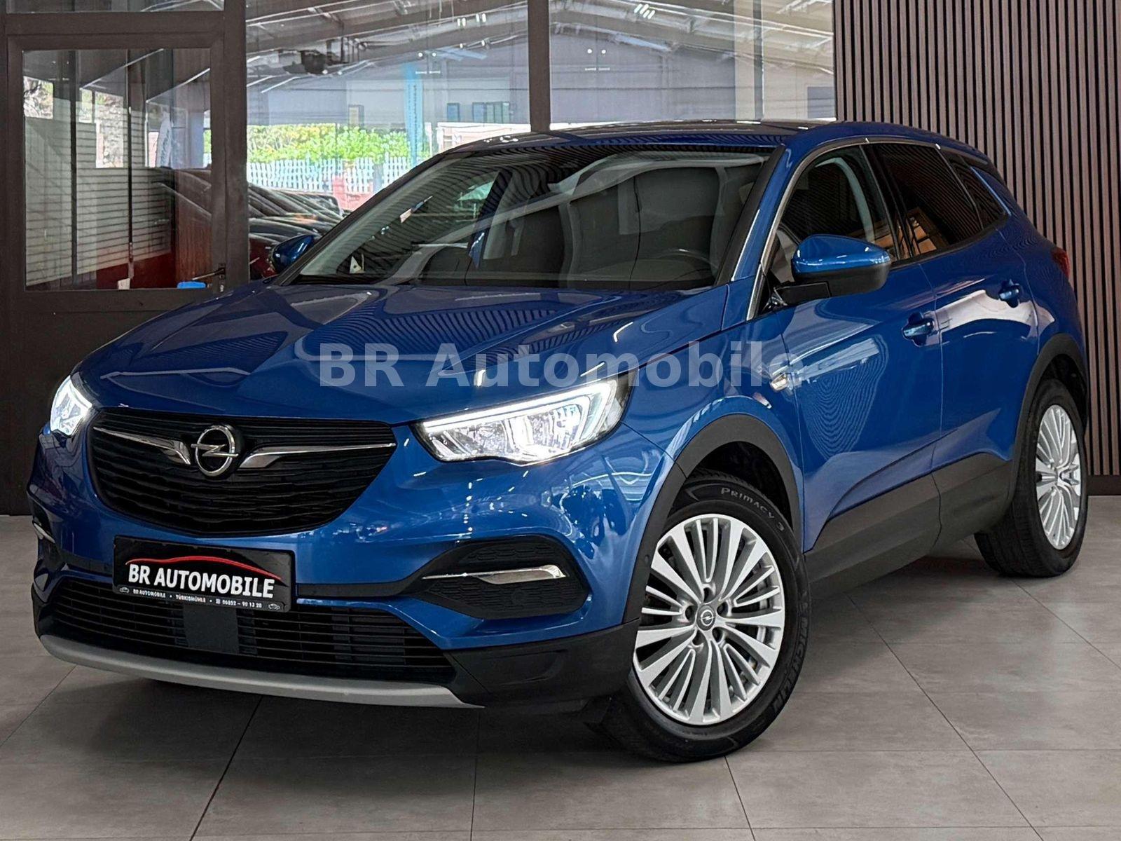 Opel Grandland X Dynamic*1.Hand*AHK*Kamera*SHZ*LHZ