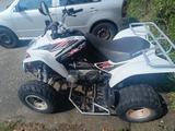 Kymco Maxxer250 - KYMCO QUAD MAXXER 250