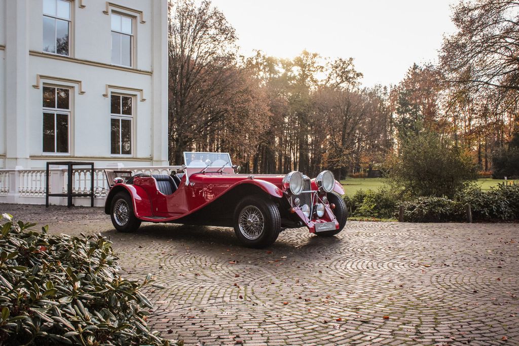Jaguar Andere