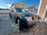Nissan NISSAN NAVARA 4X4 LKW ZULASSUNG - Nissan Navara: Lkw Zulassung