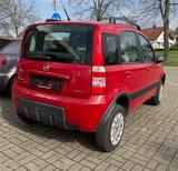 Fiat Panda 1.3 JTD Climbing 4X4 Klima Allrad - Fiat Panda mit Diesel-Antrieb: 1.3