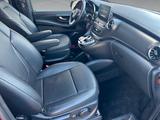 Mercedes-Benz V 300 AMG - Mercedes-Benz V 300: Vollleder