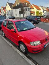 Volkswagen Polo 1.4 44kW Basis - Volkswagen Polo aus 2000: 1.4