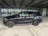 Mercedes-Benz ML 250 BlueTEC 4MATIC - ML63 AMG OPTIK  - Mercedes-Benz ML 250 aus 2012