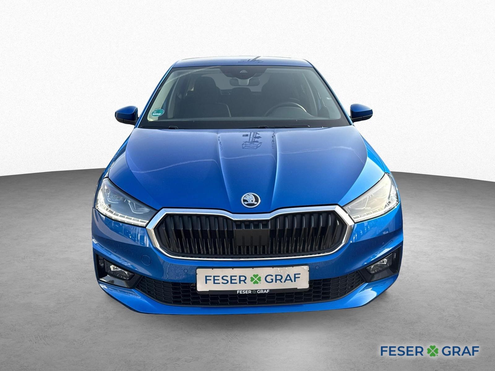 Skoda Fabia Tour 1.0TSI TOUR*Winterpaket*ALU*SmartLink