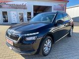 Skoda Kamiq Active 1,0 DSG Klima SHZ Applecar PDC - Skoda Kamiq: Active