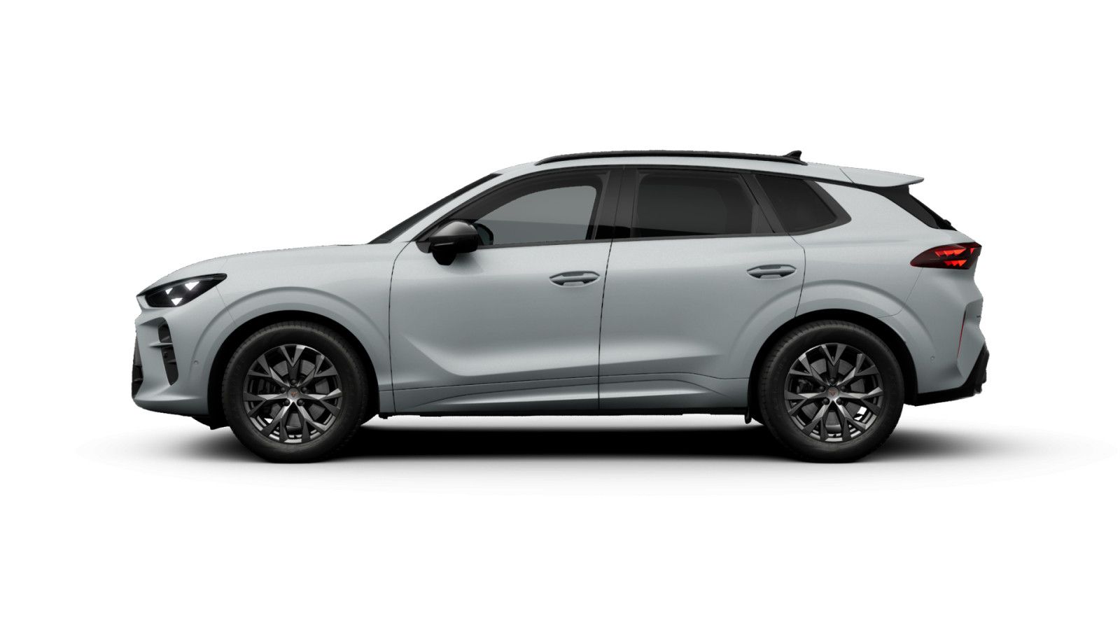 Cupra Terramar - Bild 6