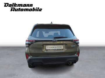 Bild 4 Subaru Forester AWD Hybrid Kamera ACC Leder SHD HIFI