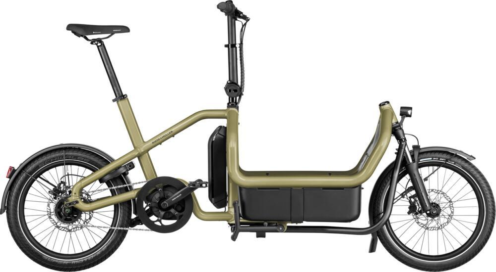 Riese & Müller Carrie city anise universal