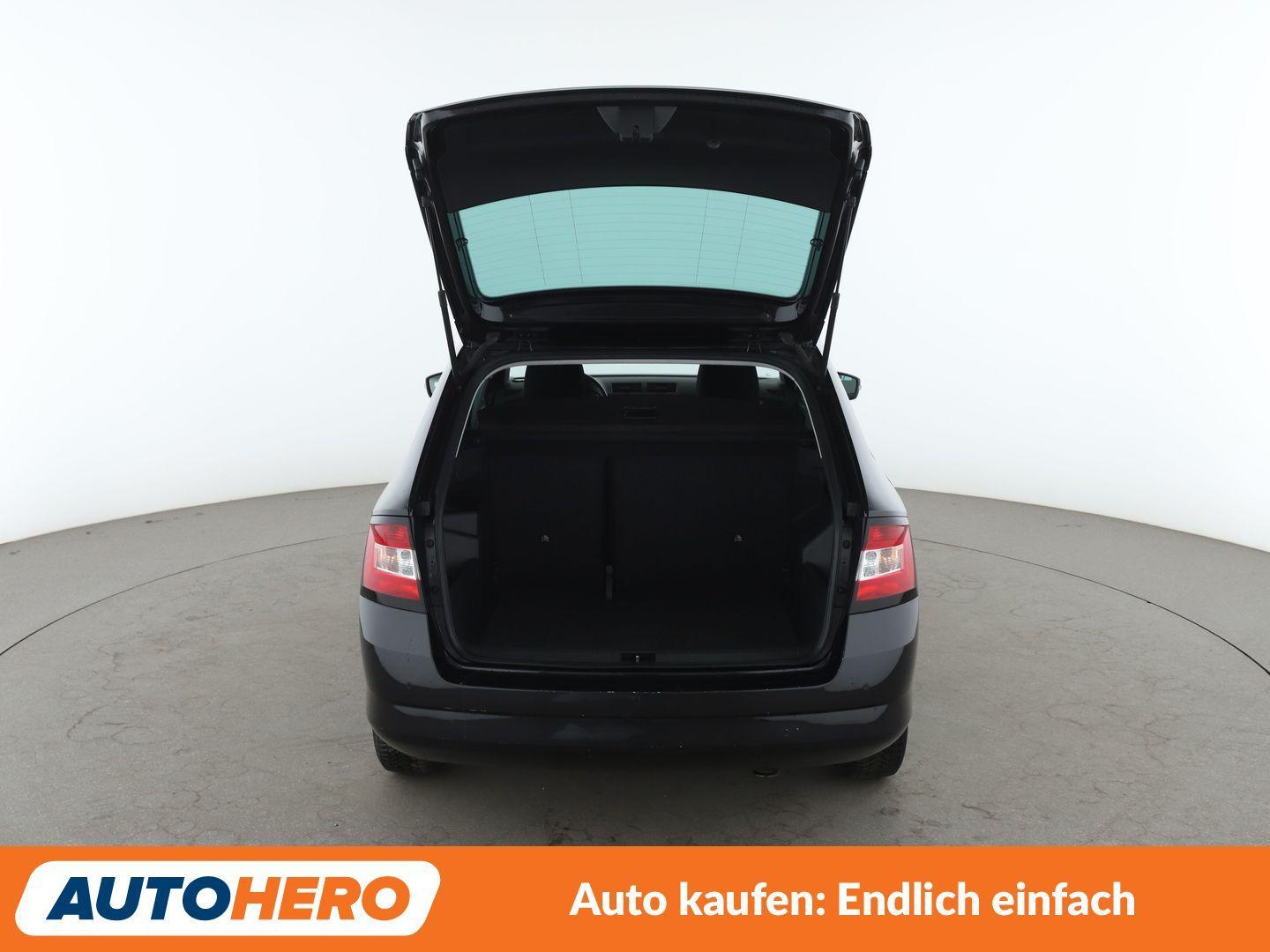 Skoda Fabia 1.2 TSI Joy Aut.*TEMPO*PDC*SHZ*