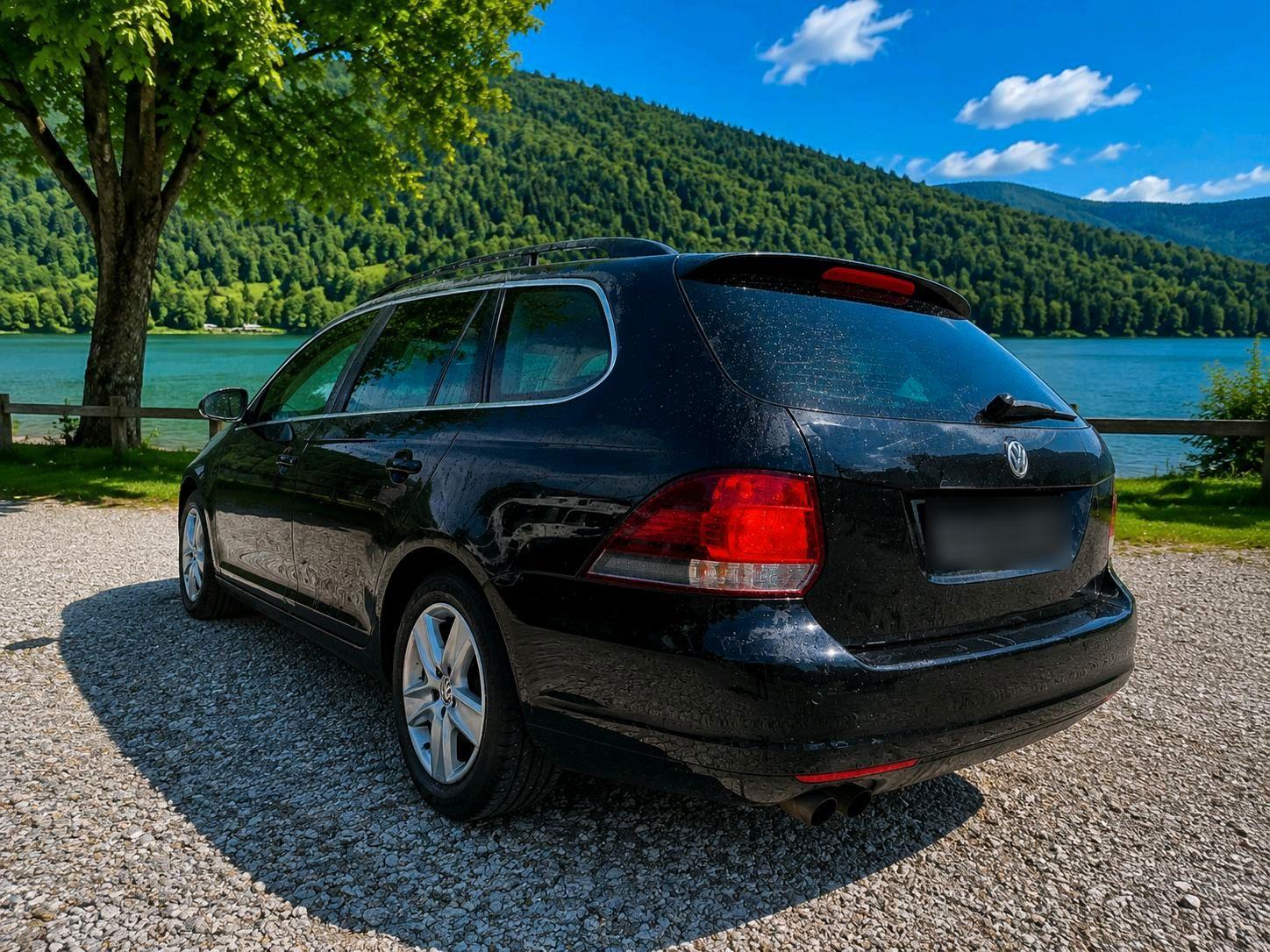 Volkswagen Golf 2010 — вигляд ззаду