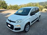 Fiat Panda 0.9Turbo 4x4 Pop N1-Van 69 E6D - 2019 - Fiat: Turbo 20v