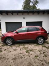 Opel Verkaufe Opel Grandland x Business Innovat... - Opel Nova aus 2019