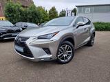 Lexus NX 300h E-FOUR Executive Line Panodach - Lexus: Nx