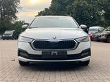 Skoda Octavia Combi 2.0 TDI Ambition/Virt.Copit/ACC - Skoda Octavia: Allradantrieb, 2.0