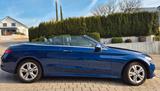 Mercedes-Benz C 200 Cabrio 4MATIC AMG Line, LED Int. Light - Mercedes-Benz C 200 mit Benzin-Antrieb: Cabrio
