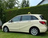 Mercedes-Benz B 180 d  Das Taxi - Mercedes-Benz: Taxi, 180