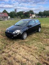 Fiat Punto 1.2 2014 Bj TÜV 04/2026 1 Hand - Fiat Punto: 1.0